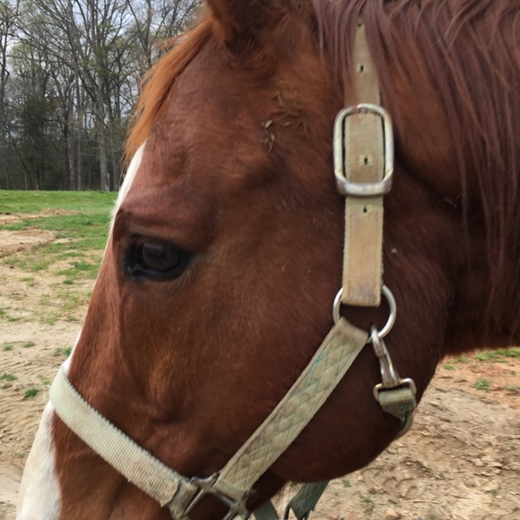 Not to buy - Picture 3 of 4